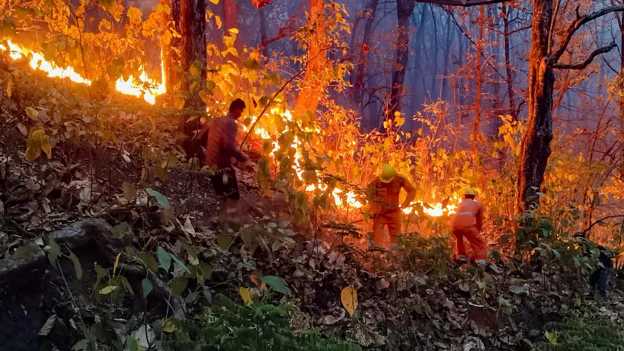 Who is setting fire in the forests of Uttarakhand? 761 cases registered, 52 arrested! Now preparing for action