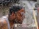 Heat wave worsens condition in UP, there will be heavy rain in these districts