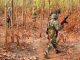 Police encounter with Naxalites on Chhattisgarh-Odisha border, one policeman injured