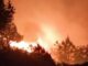 Forests of Uttarakhand blazed 40 times in 24 hours, two houses burnt, three burnt; death of one