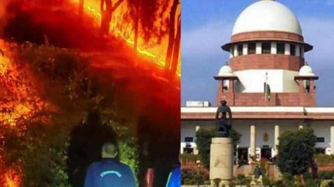 Hearing in the Supreme Court today regarding the fire in the forests of Uttarakhand, 6 dead so far