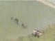 Big news from Madhya Pradesh: Boat capsized in Chambal river, screams and cries all around