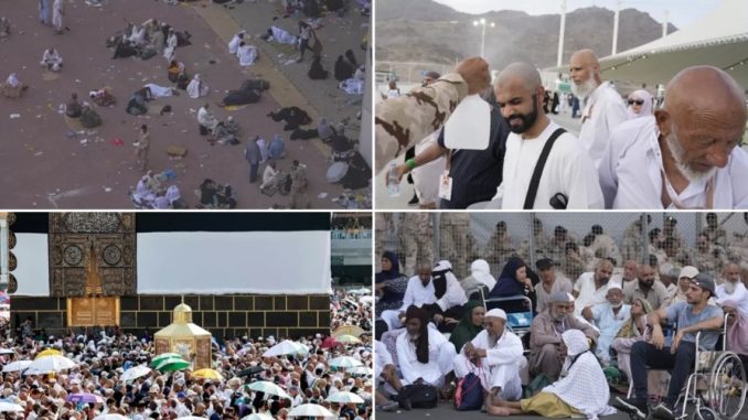 Just now: 645 people including 60 Indians died during Haj pilgrimage - people are searching for their loved ones