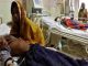 So far 24 cases of Chamki fever in Bihar; Health department on alert