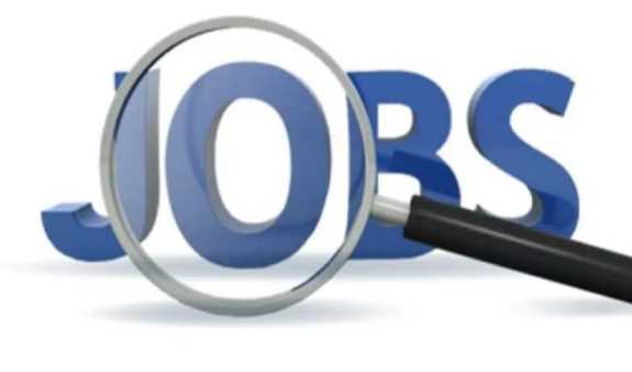 Good news! Preparations to provide jobs to 3 lakh youth in the month of August, see details of vacant posts