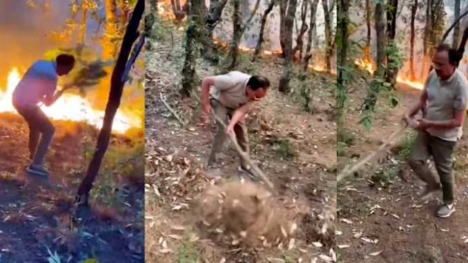 This cabinet minister of Sukhu government himself came forward to extinguish the forest fire