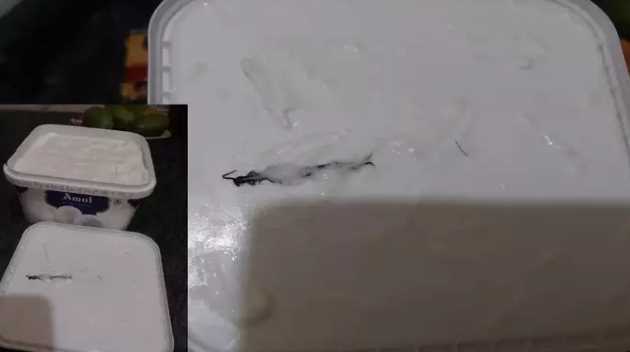 Centipede found in ice cream box in Noida, case filed against company and delivery app