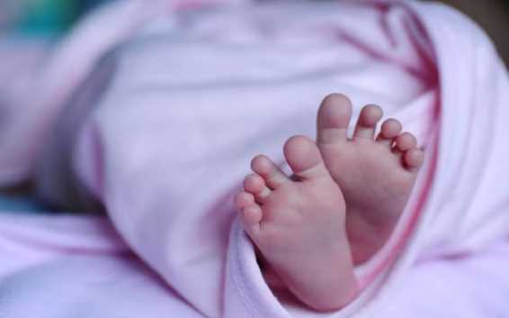 Sensation again due to finding the dead body of a newborn girl in Begusarai, police busy in finding the cruel parents