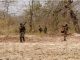 Security forces got big success in Chhattisgarh, 5 Naxalites killed in encounter