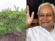 Good news for the farmers of Bihar! Cultivate this fruit, Nitish government is giving bumper subsidy