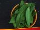 Bay leaf is the killer of these 5 diseases including diabetes, consuming it daily in this way shows amazing benefits