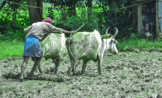 PM Kisan: करोड़ों क‍िसानों को म‍िलेगा नवरात्र‍ि का तोहफा, खाते में आएंगे….