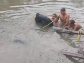 Buggy going to collect fodder fell into Hindon river in Muzaffarnagar, villagers rescued it