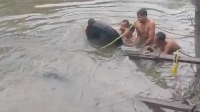 Buggy going to collect fodder fell into Hindon river in Muzaffarnagar, villagers rescued it
