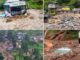 Landslide in Himachal, 11 deaths: 5 killed due to cloudburst in Uttarakhand, 62 villages submerged in Punjab
