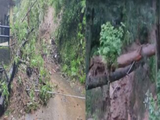 Amidst red alert in Himachal, disaster rained from the sky, landslide, many died, schools closed in 11 districts