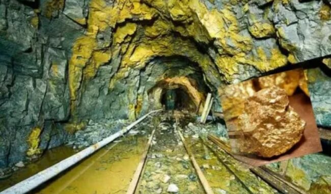 This huge treasure was found in the gold mines of Rajasthan, you will be thrilled to know about it