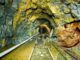 This huge treasure was found in the gold mines of Rajasthan, you will be thrilled to know about it