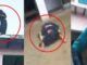 The fire of dowry turned into a monster: A woman jumped from the roof, what happened next will shake you to your core