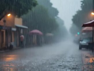 Monsoon active in Rajasthan, heavy rain alert issued in 30 districts