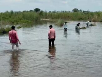 Heavy damage due to flood in Muzaffarnagar too: Fields filled with water - know the full news