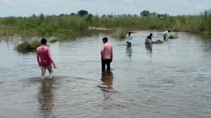 Heavy damage due to flood in Muzaffarnagar too: Fields filled with water - know the full news
