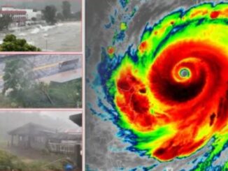 Super Typhoon Ragasa wreaks havoc: 14 dead, 124 missing - terrifying scene