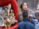 Relatives were called home and fed poisonous mushrooms, corpses were strewn in the house - know why this incident happened