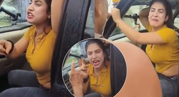 People dragged the Bikaner lioness after throwing her on the ground
