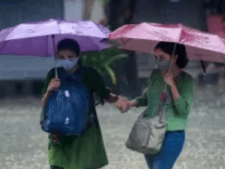 Monsoon will create havoc again in Madhya Pradesh, alert of heavy rain in 15 districts after 24 hours, know the condition of your city