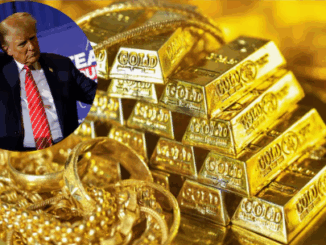 We were just rejoicing at the falling price of gold when Trump played his trick again...