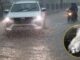 Cold wave in Rajasthan: Rain from November 1 to 27 - Yellow alert