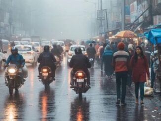 Fog blankets Uttar Pradesh: Temperatures fluctuate, rain lashes several districts