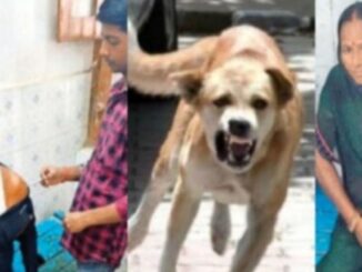 150 villagers drank Panchamrit made from milk of a rabies infected cow, entire village...