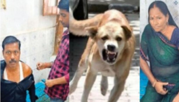 150 villagers drank Panchamrit made from milk of a rabies infected cow, entire village...