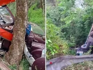 Horrific road accident: Truck carrying passengers falls into a gorge, 22 killed on the spot.