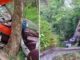 Horrific road accident: Truck carrying passengers falls into a gorge, 22 killed on the spot.