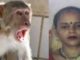 Monkeys attacked a woman, who then fell from the roof and died a tragic death.