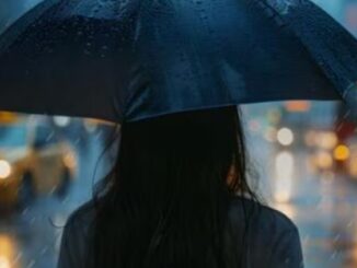 Heavy rain in Uttar Pradesh! Winds blowing at a speed of 40 km/h.