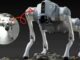 Claiming a Chinese robot as our own sparks uproar at India's AI summit: Learn the full story