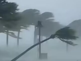 Rain and Storm Warning Across 13 States Within 36 Hours, Winds Up to 80 km/h; IMD Alert