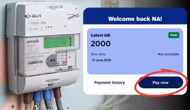 Prepaid Electricity Meter Bills to Start from June 2026: Which App Can You Use to Pay? Learn All the Steps.