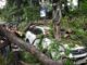 Storm and Rain Wreak Havoc in UP: 28 Tragically Dead, Widespread Chaos Ensues