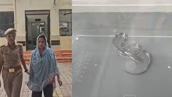दूध, नींद की गोलियां और करैत सांप, 2000 फोन कॉल! प्रेमी को बचाने के लिए दामिनी ने… दूध, नींद की गोलियां और करैत सांप, 2000 फोन कॉल! प्रेमी को बचाने के लिए दामिनी ने…
